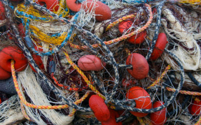 Tangled Nets